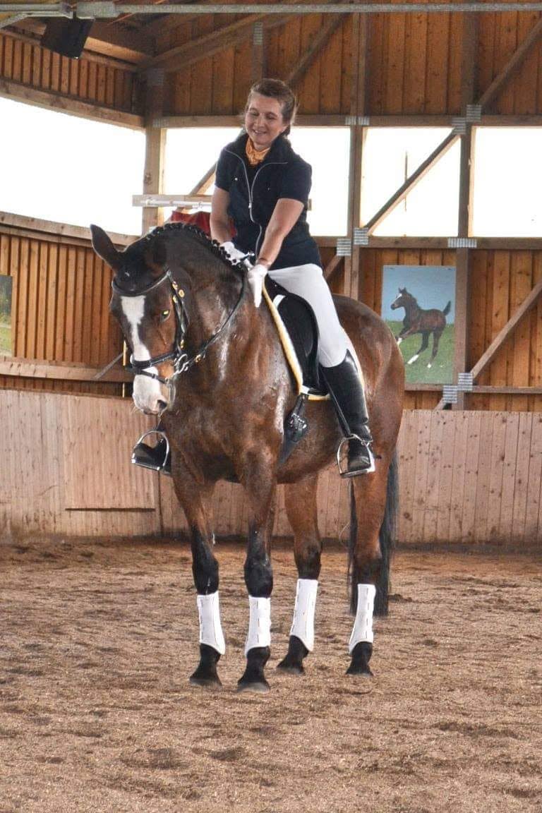 Reiterin mit Pferd in der Halle