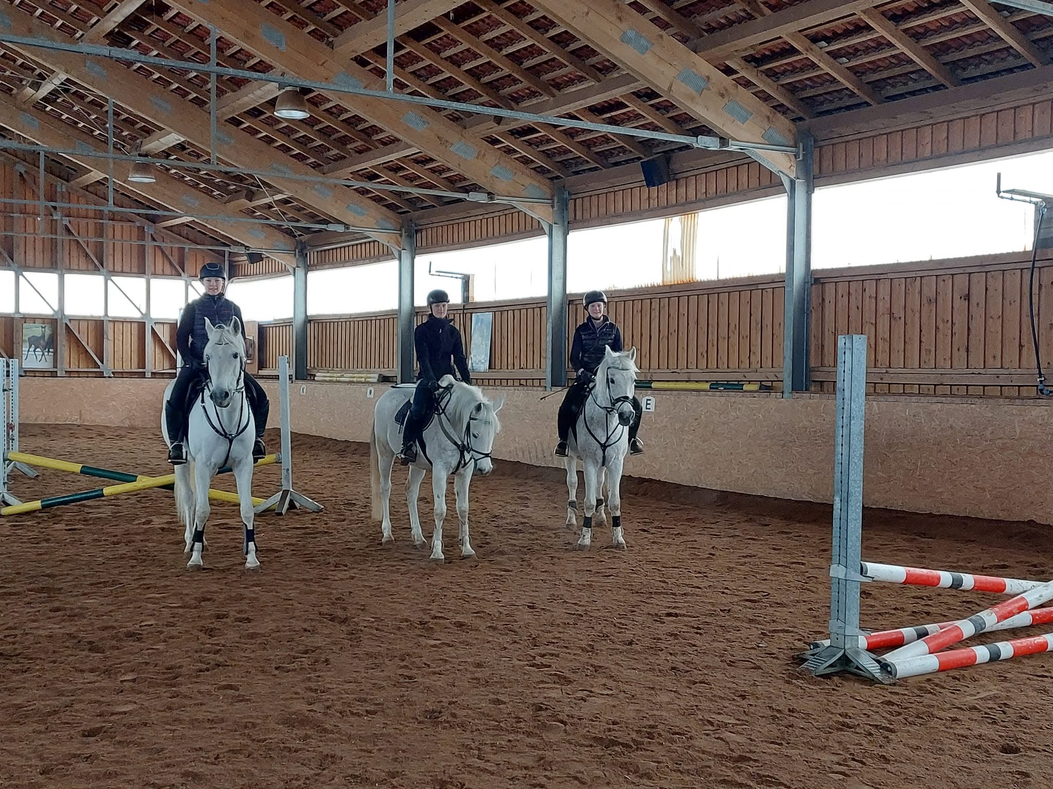 Reitunterricht in der Halle