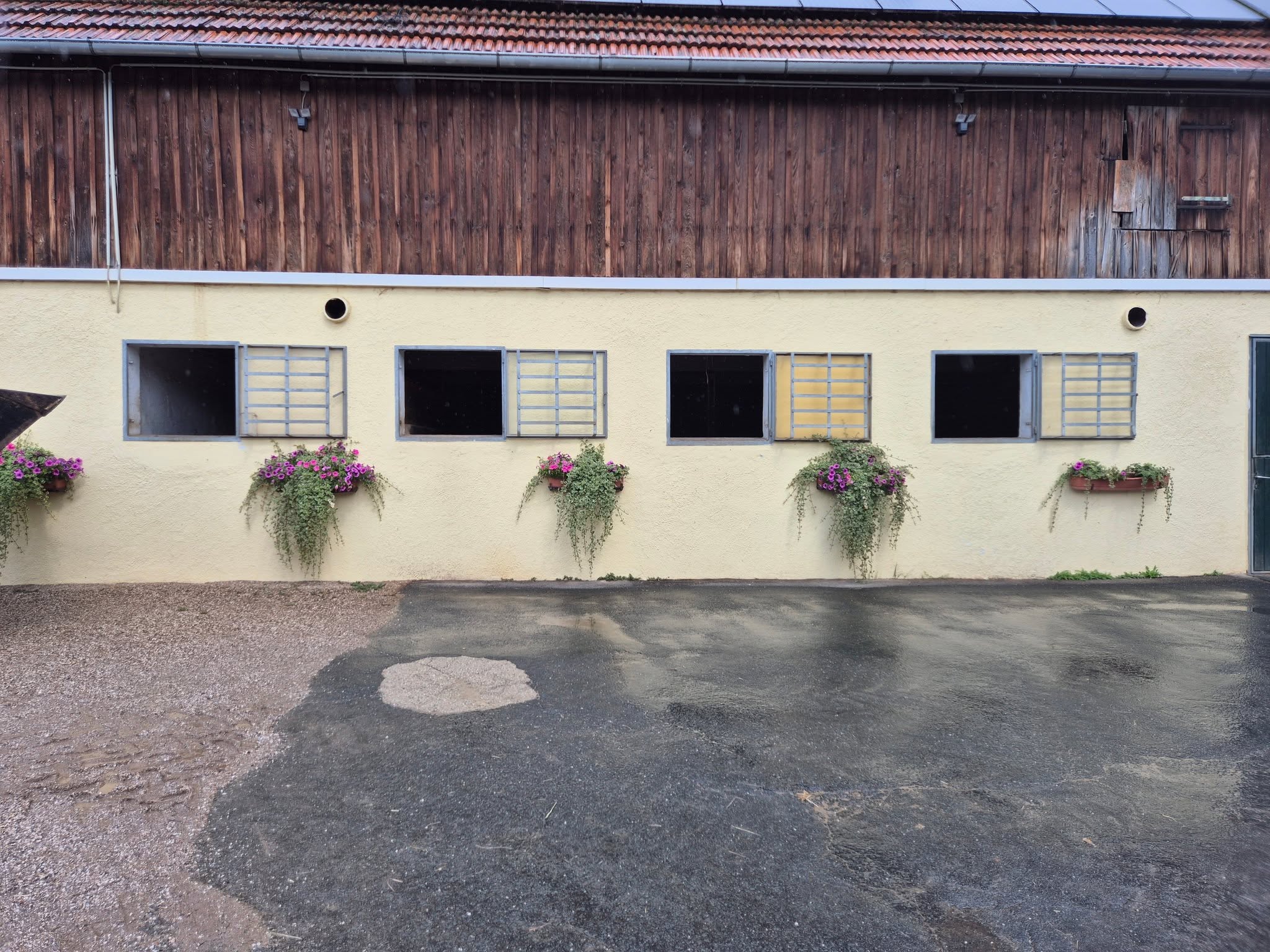 Stallgebäude der Pferdepension
